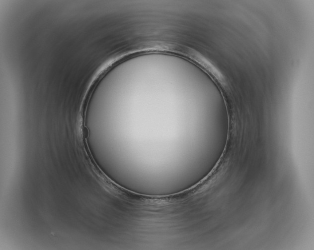 X0000113171332200909040926