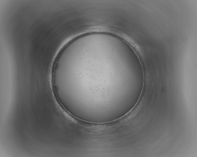 X0000113171334200909040926