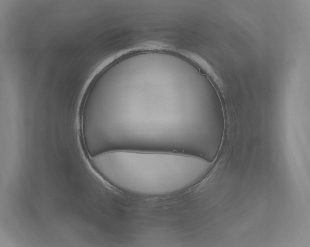 X0000113171335200909040926