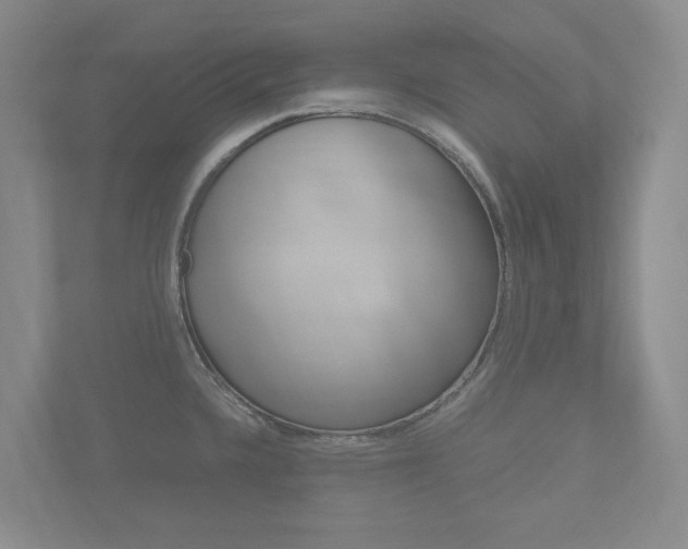 X0000113171336200909040926