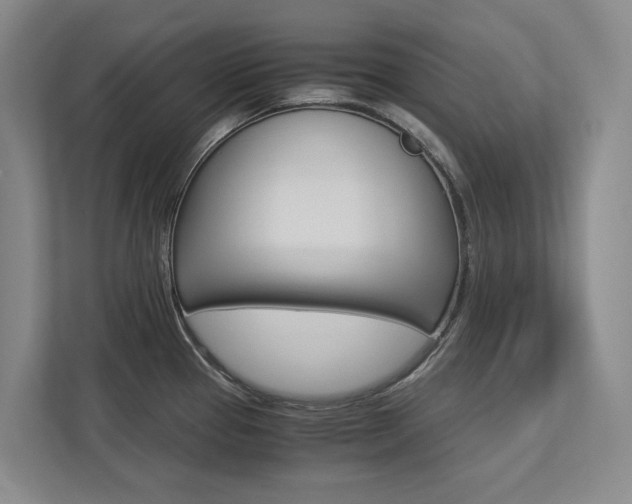 X0000113171337200909040926
