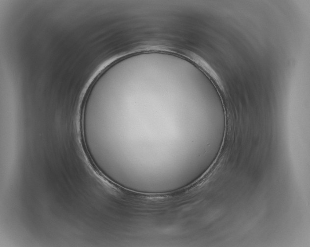 X0000113171339200909040926