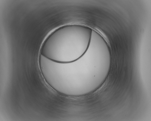 X0000113171340200909040926