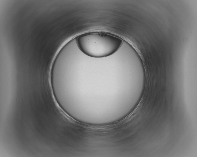 X0000113171342200909040926