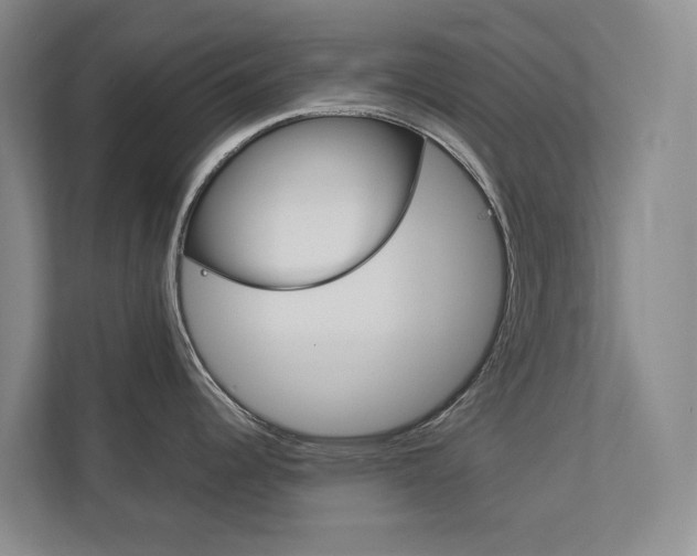 X0000113171344200909040926