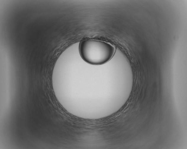 X0000113171349200909040926