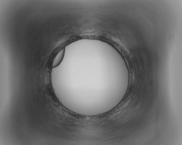 X0000113171350200909040926
