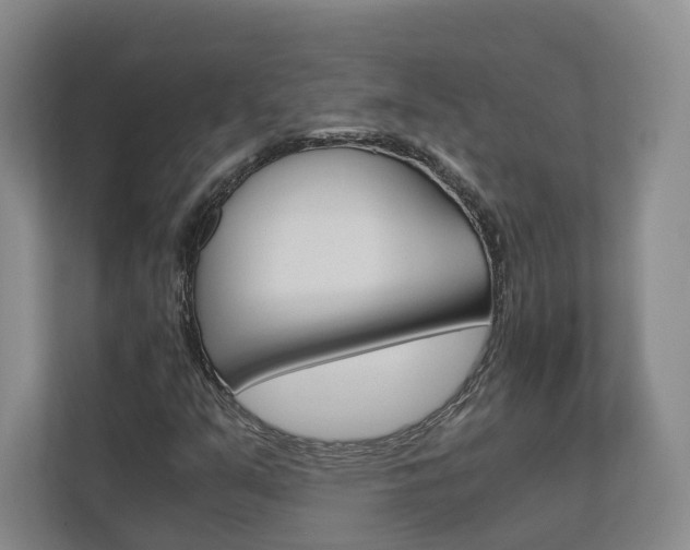 X0000113171351200909040926