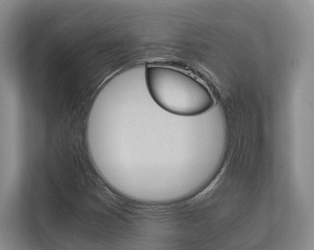 X0000113171353200909040926