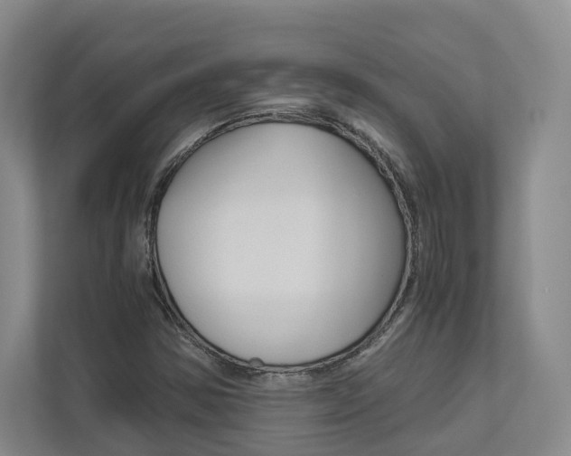 X0000113171354200909040926
