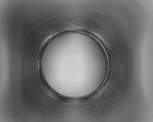 X0000113171355200909040926