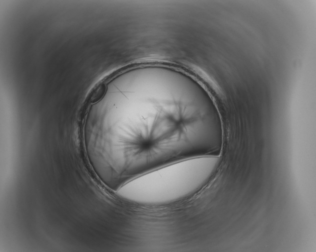 X0000113171356200909040926