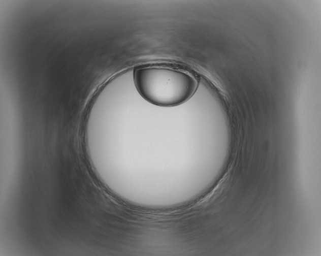 X0000113171357200909040926