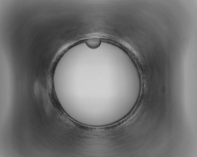 X0000113171358200909040925