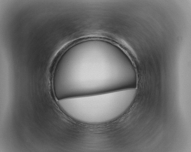 X0000113171360200909040925
