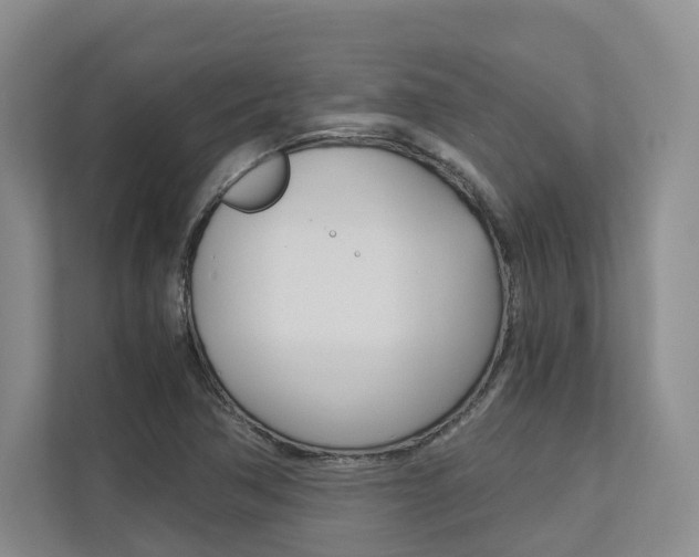 X0000113171362200909040925