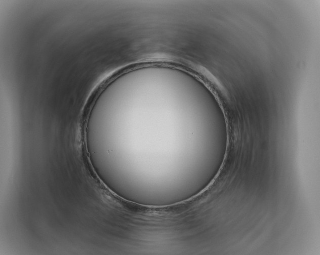 X0000113171364200909040925