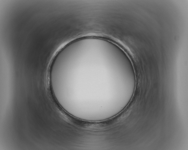 X0000113171367200909040925