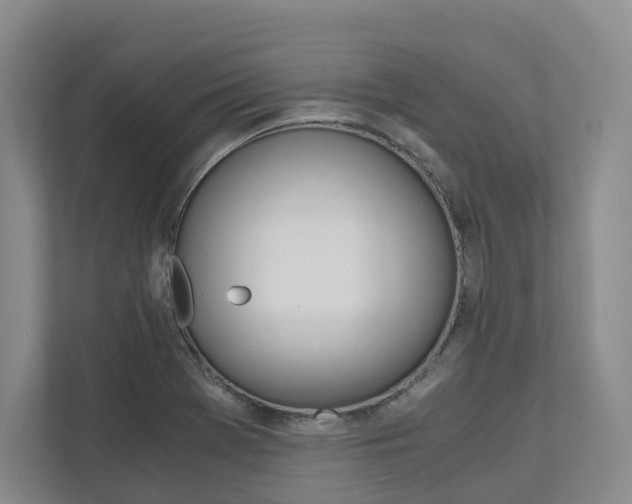 X0000113171369200909040925