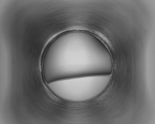 X0000113171372200909040925