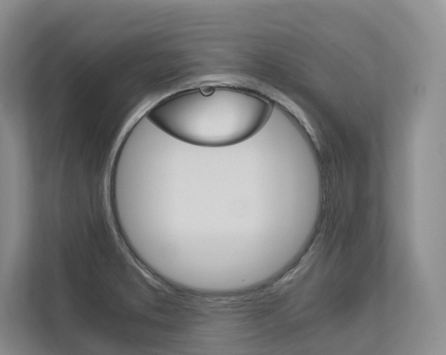 X0000113171373200909040925
