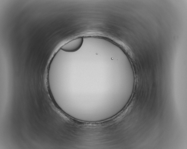 X0000113171374200909040925