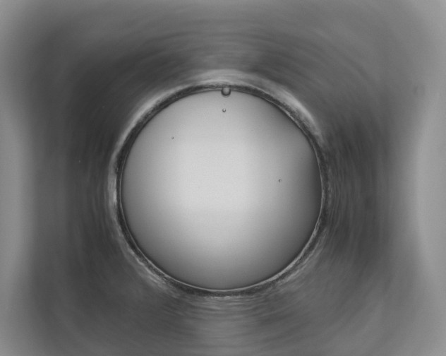 X0000113171376200909040925