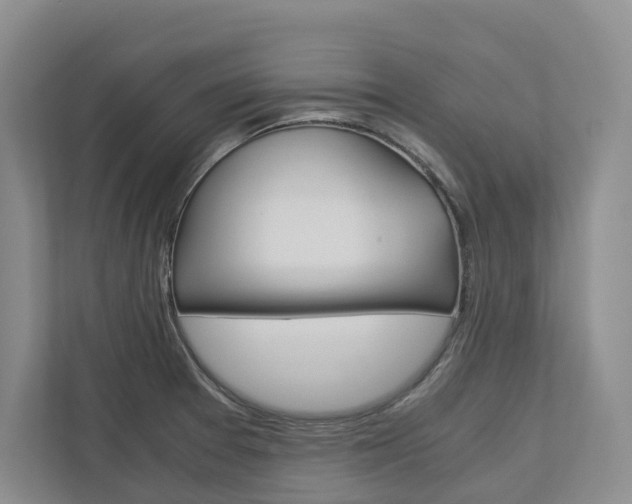 X0000113171377200909040925