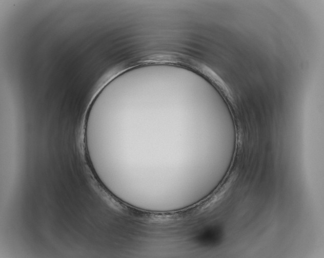 X0000113171378200909040925