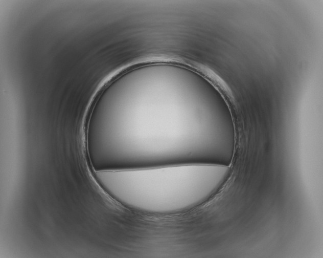 X0000113171380200909040925