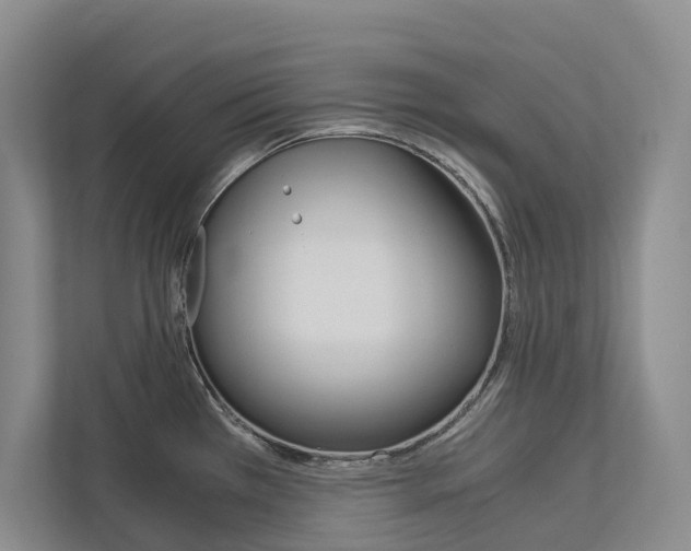 X0000113171385200909040925