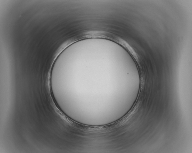 X0000113171386200909040925