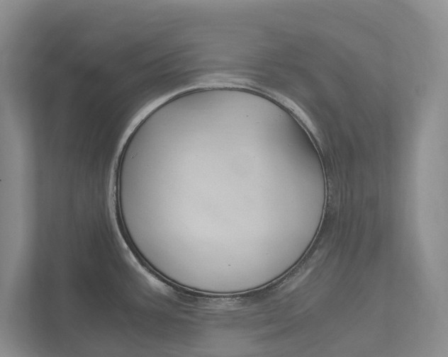 X0000113171387200909040925