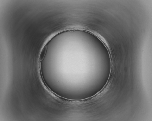 X0000113171389200909040925