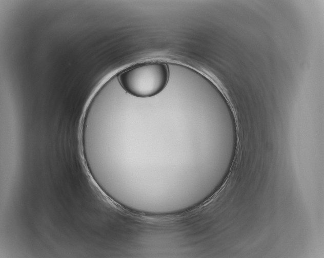 X0000113171392200909040925