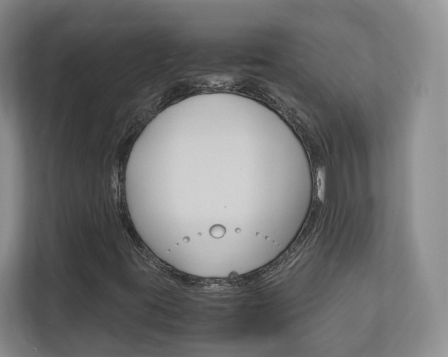 X0000113171395200909040924