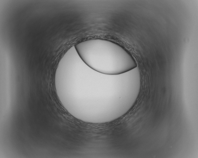 X0000113171397200909040924