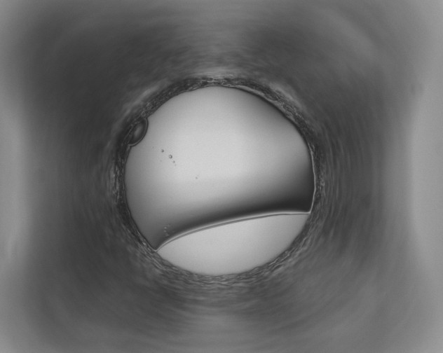 X0000113171398200909040924