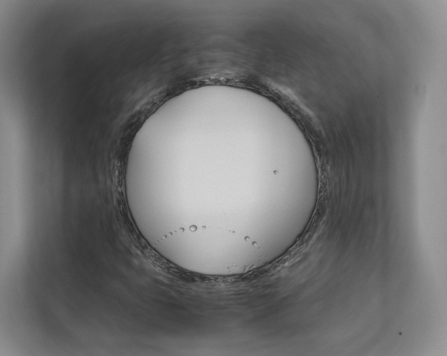 X0000113171399200909040925