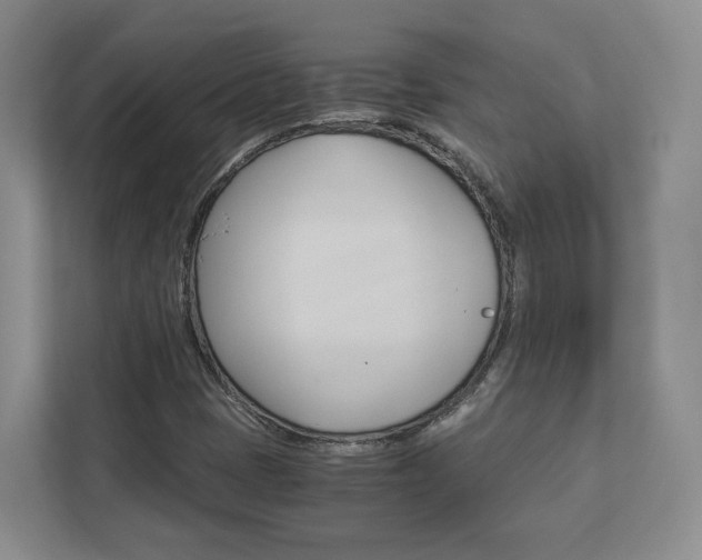 X0000113171401200909040925