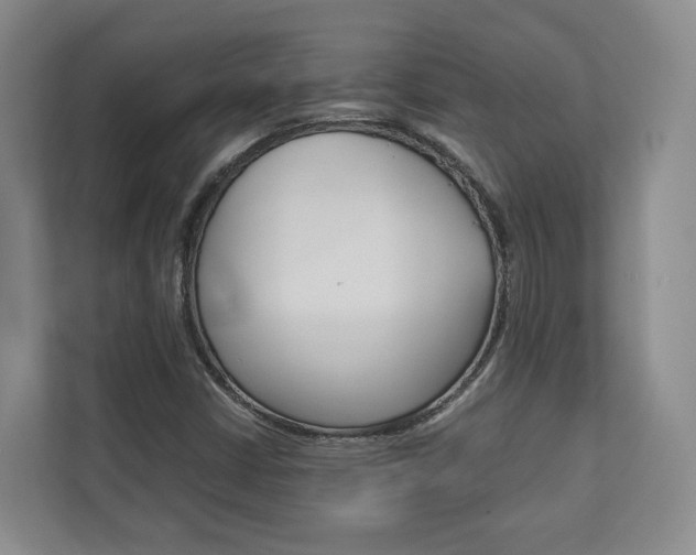 X0000113171402200909040925