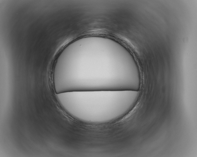 X0000113171405200909040925