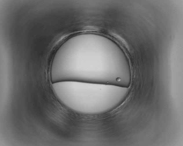 X0000113171407200909040925
