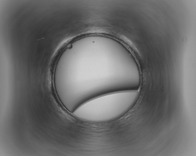 X0000113171408200909040925