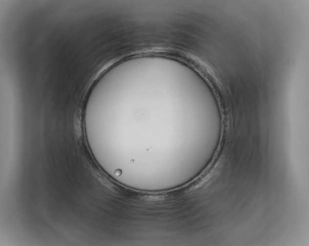 X0000113171409200909040925