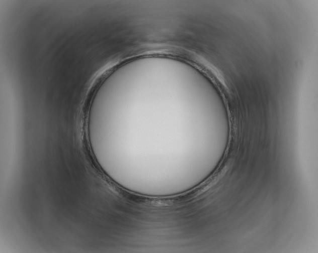 X0000113171411200909040925