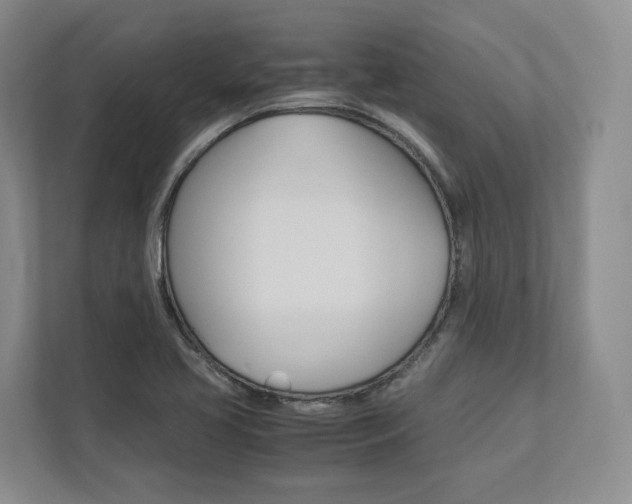 X0000113171413200909040925