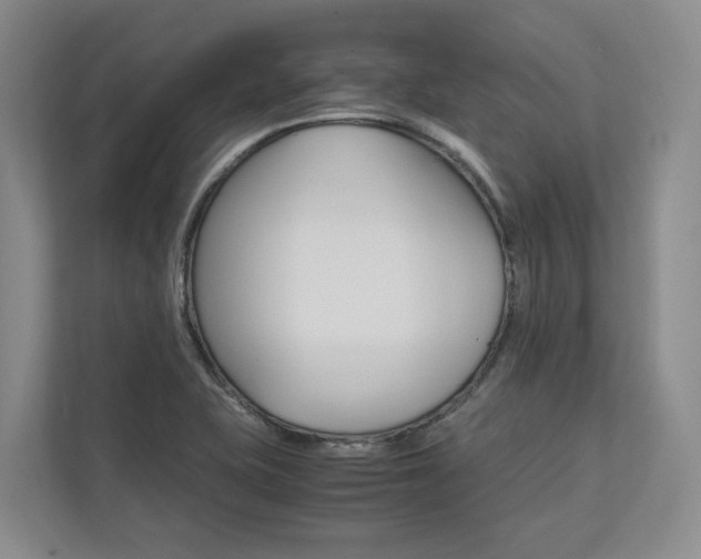 X0000113171415200909040925