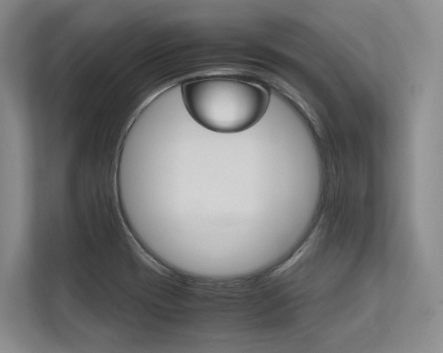 X0000113171417200909040925
