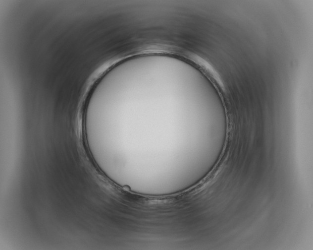 X0000113171419200909040925